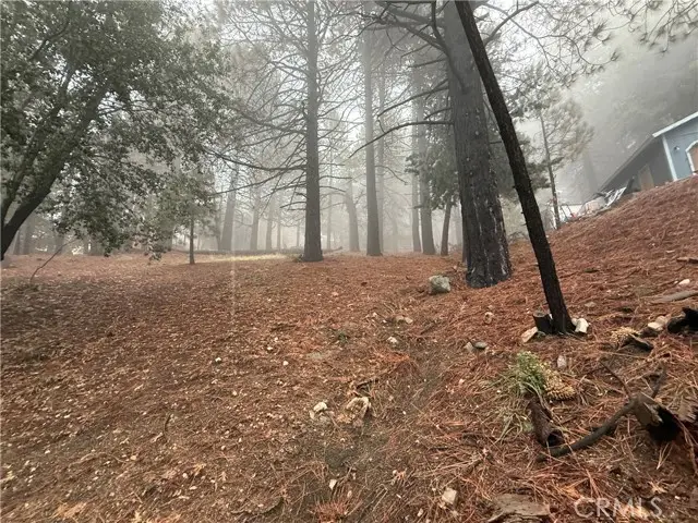 0 Poplar, Running Springs, CA 92382 - #2