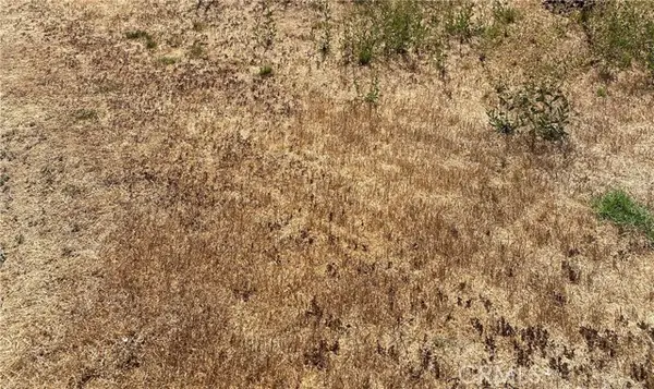 0 Vac/Vic Ave #7/223, Llano, CA 93544