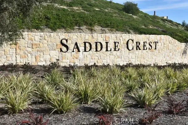 28912 Auburn Hills, Silverado, CA 92676