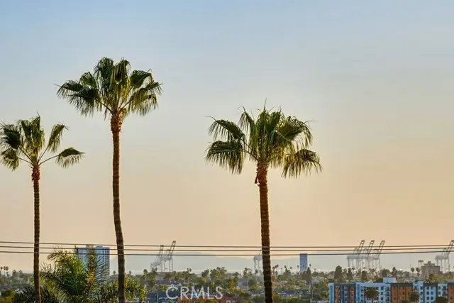 2101 21st  #306, Signal Hill, CA 90755 - Image #3