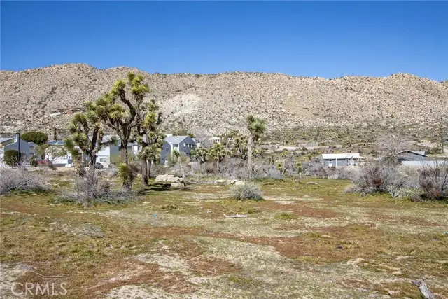 56160 Buena Vista Drive, Yucca Valley, CA 92284 - #1