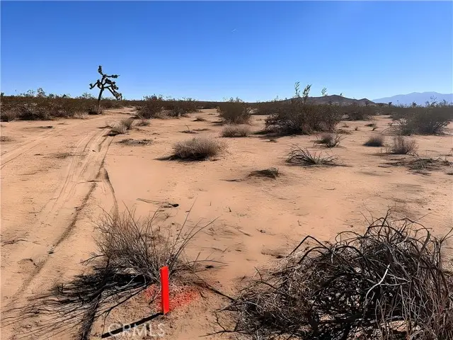 10 VAC/VIC AVE F12/155 STE, Lancaster, CA 93535 - #3