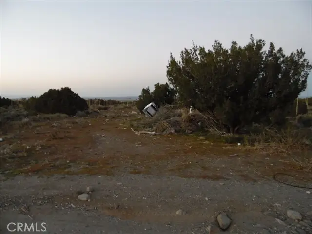 0 Acacia, Pinon Hills, CA 92372 - #1