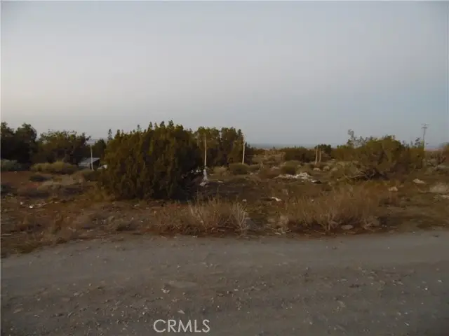 0 Acacia, Pinon Hills, CA 92372 - #3