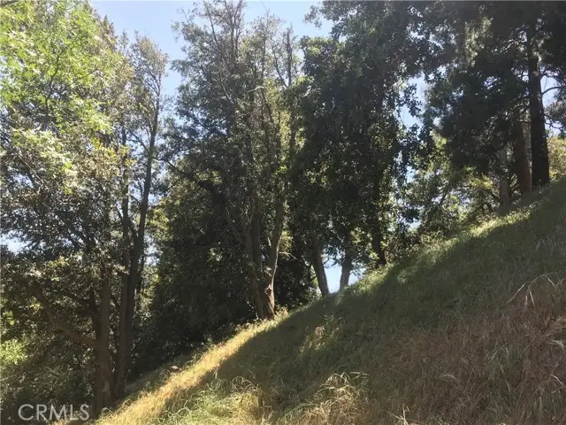 0 Buck Road, Cedarpines Park, CA 92322 - #2