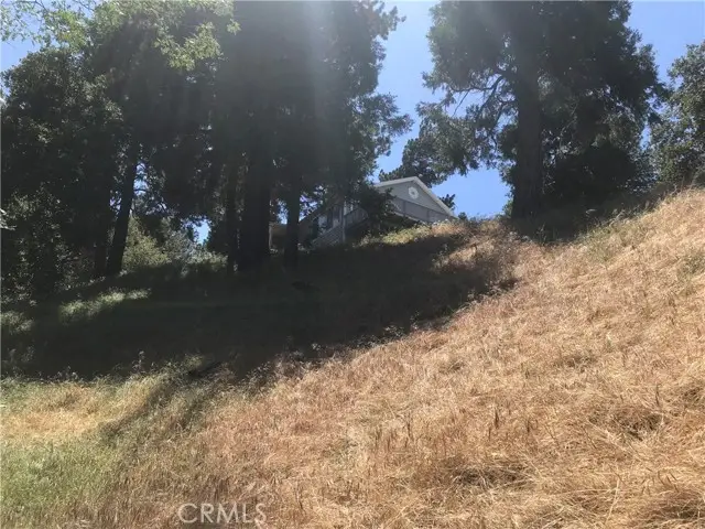 0 Buck Road, Cedarpines Park, CA 92322 - #3
