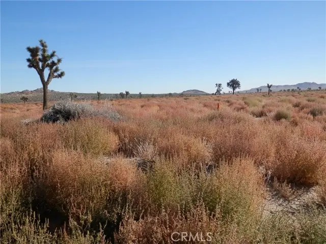 0 110 E./ Ave O12, Palmdale, CA 93591 - #3