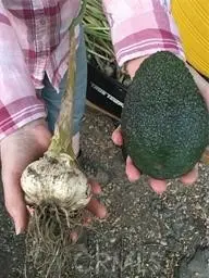 0 Via Barranca, Temecula, CA 92590 - #2