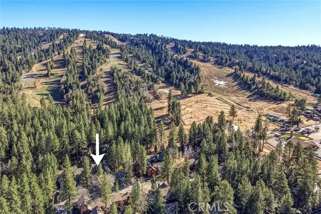 41935 Switzerland, Big Bear Lake, CA 92315 - #2