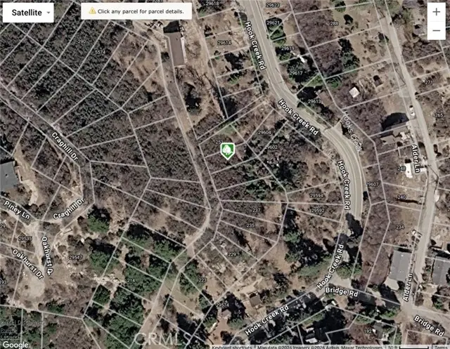 0 Pine Drive, Cedar Glen, CA 92321 - #2