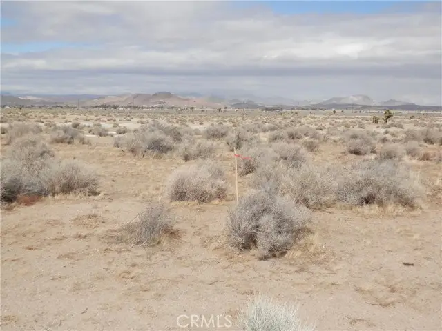 0 Gaskell Road, Rosamond, CA 93560 - #3