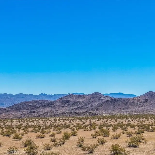 55 Mile Square Road, Joshua Tree, CA 92252 - #2