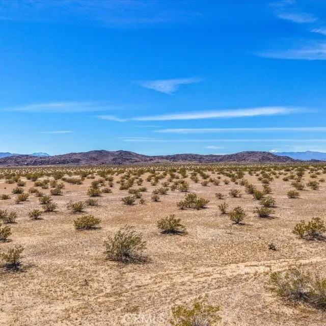 54 Fascination Avenue, Joshua Tree, CA 92252 - #2