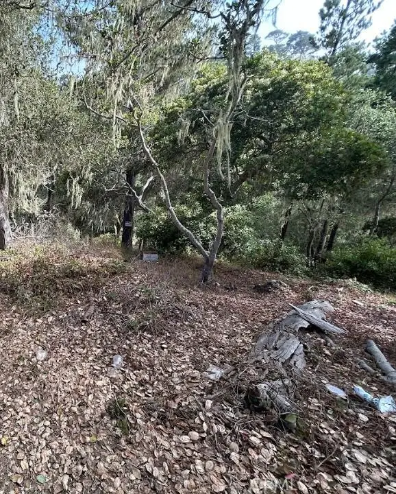 2812 Ramsey Road, Cambria, CA 93428