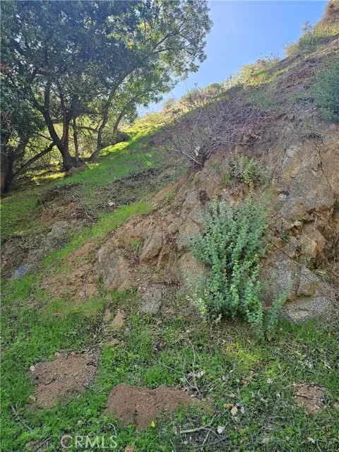 2145 Laurel canyon Boulevard, Los Angeles, CA 90046 - #1