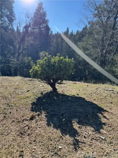 29373 Pine, Cedar Glen, CA 92321