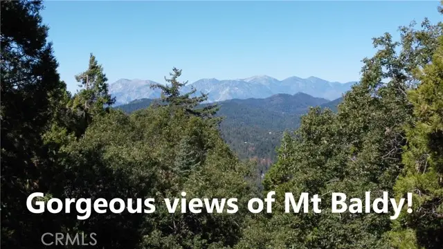 0 North Road, Twin Peaks, CA 92391 - #3