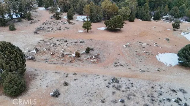 0 Pine Lane, Big Bear City, CA 92314 - #2