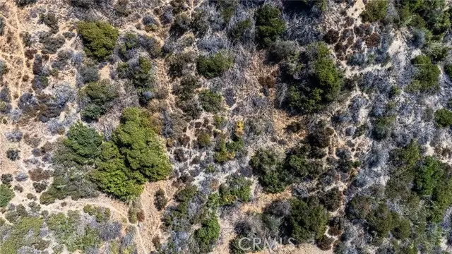 2625 N Dominion Lane, Los Angeles, CA 90046 - Image #2