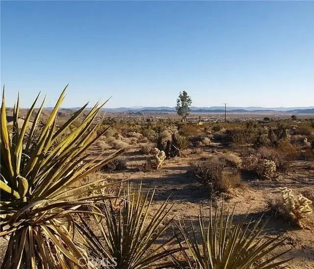 7275 Saddleback, Joshua Tree, CA 92252 - #1