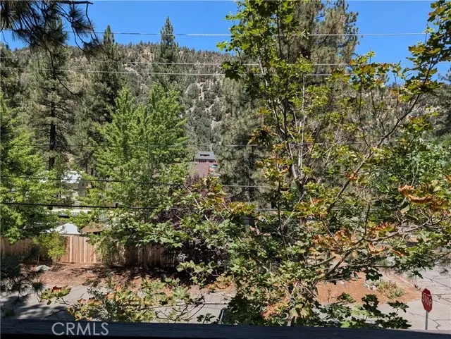 1587 Ross, Wrightwood, CA 92397 - #3