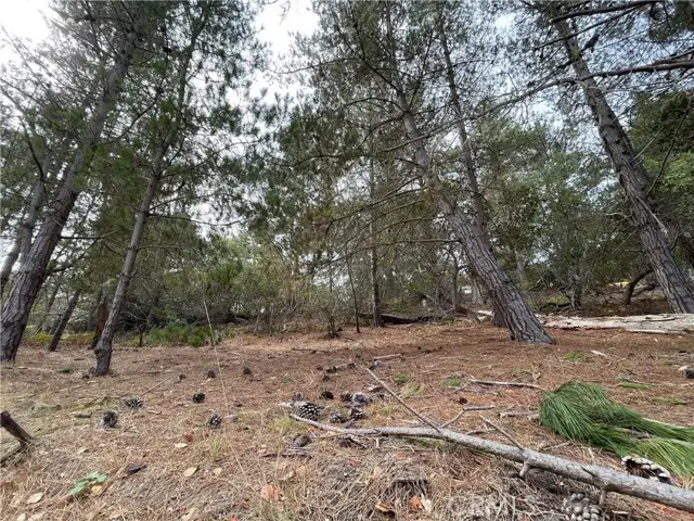 1955 Avon Avenue, Cambria, CA 93428 - #3