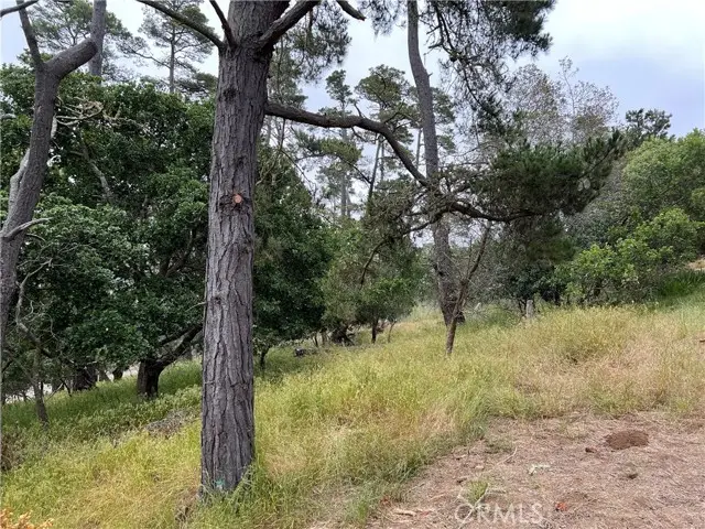 0 Norton Lane, Cambria, CA 93428 - #1