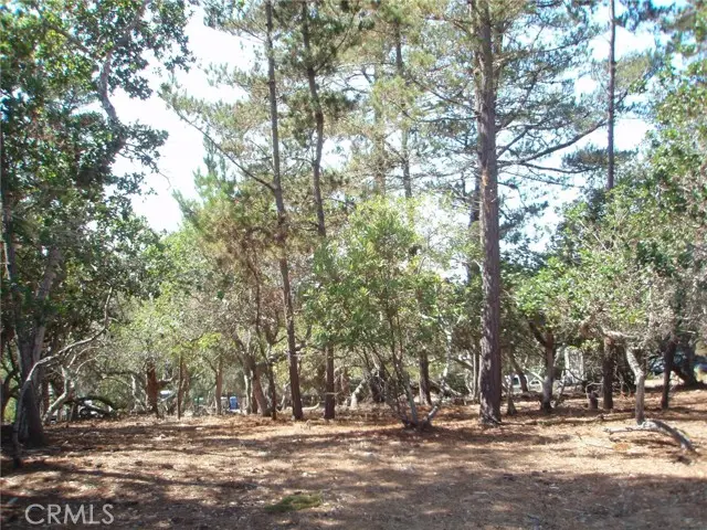 1865 Dreydon Avenue, Cambria, CA 93428 - #1