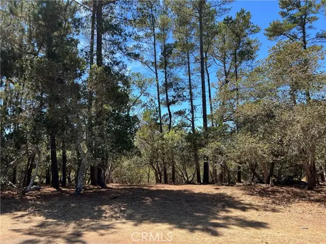 1865 Dreydon Avenue, Cambria, CA 93428 - #2