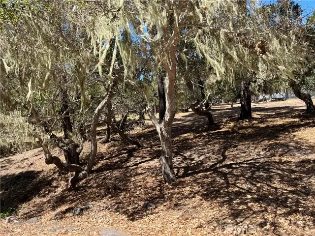 34 Kenneth, Cambria, CA 93428 - #2