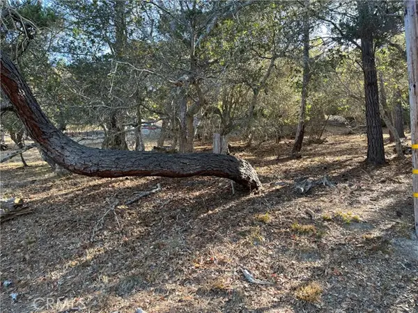 1818 Tweed Avenue, Cambria, CA 93428