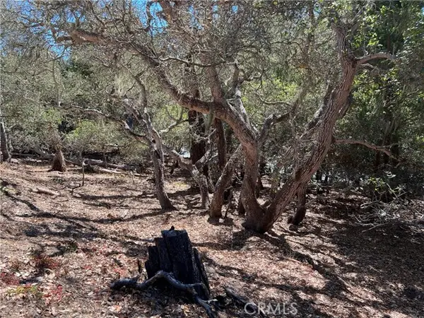 2275 Leona Drive, Cambria, CA 93428