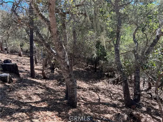 2275 Leona Drive, Cambria, CA 93428 - #2