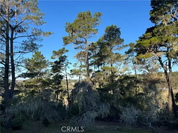 3235 Rogers, Cambria, CA 93428