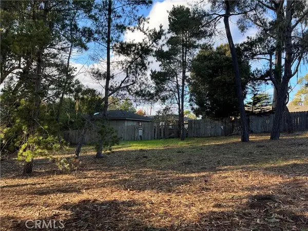 1985 Wilton Drive, Cambria, CA 93428