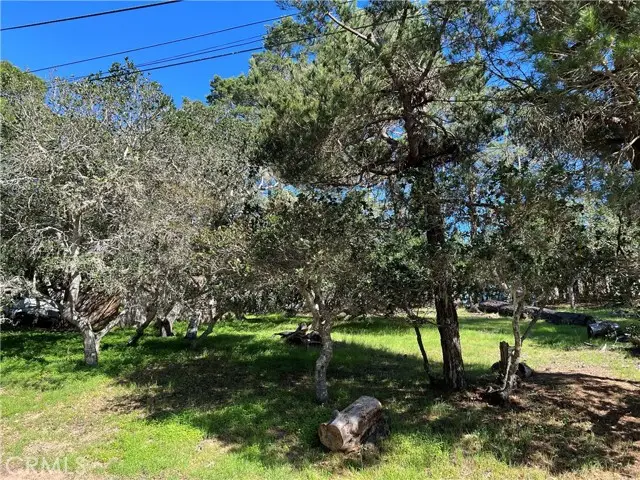 0 Norwich, Cambria, CA 93428 - #3