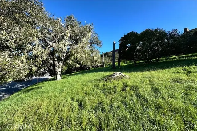 0 Ardath, Cambria, CA 93428 - #3