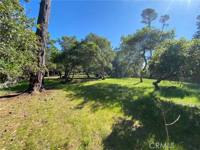 6450 Kathryn, Cambria, CA 93428 - #3