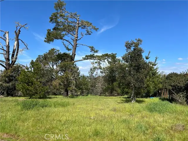 2540 Malvern Street, Cambria, CA 93428 - #1