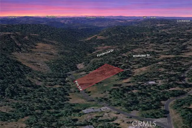25700 Wildflower Drive, Volcano, CA 95689 - #2