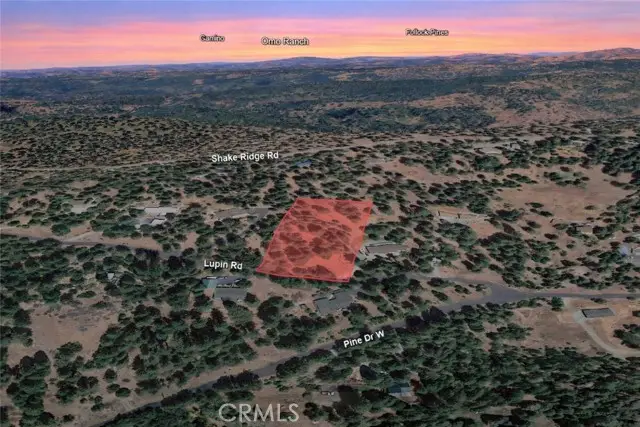 26041 Lupin Road, Volcano, CA 95689 - #2