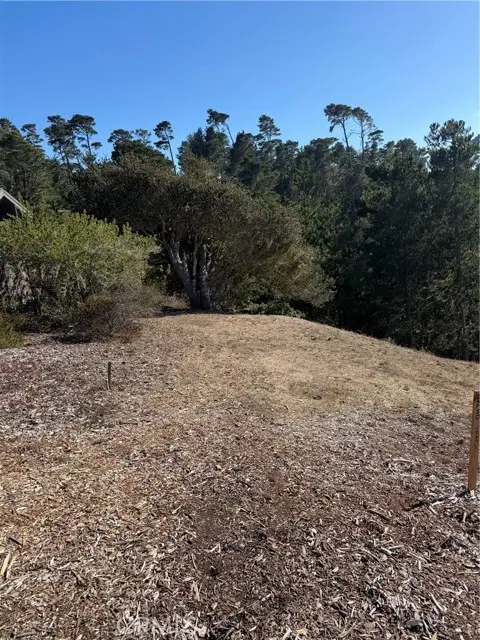 3123 Rogers, Cambria, CA 93428 - #1