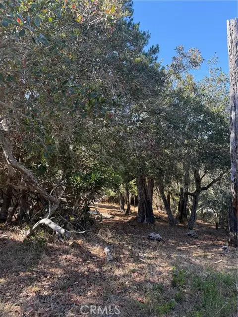 0 Melrose, Cambria, CA 93428 - #1