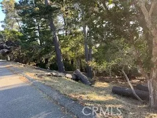 0 Bradford Road, Cambria, CA 93428 - #2