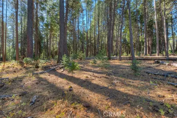 0 Fern Glenn Way, Magalia, CA 95954