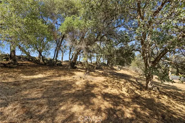 3176 Canyon Oaks, Chico, CA 95928 - #3