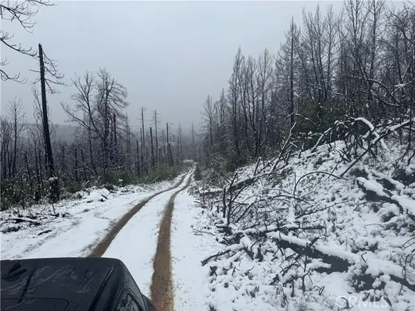 111 Seminole Drive, Berry Creek, CA 95916