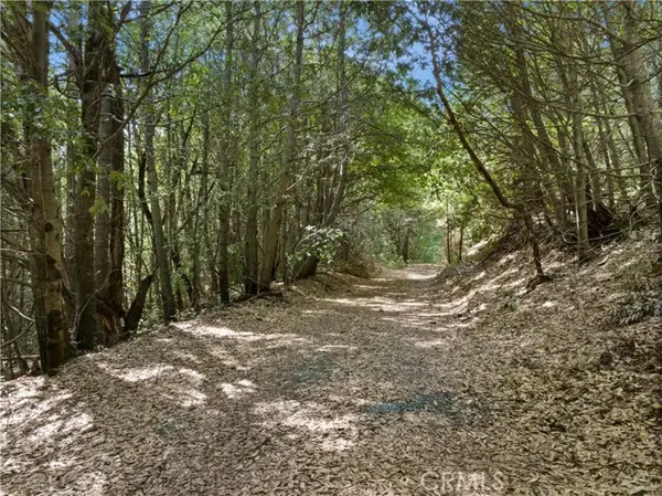 63 Binet Road, Clipper Mills, CA 95930