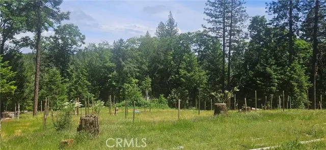 0 Little Bend Circle, Oroville, CA 95965 - #3