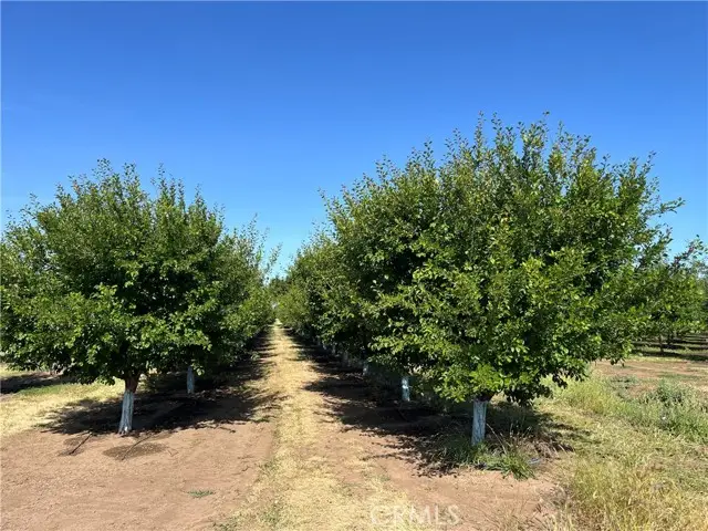 0 Volcano Way, Red Bluff, CA 96080 - #3
